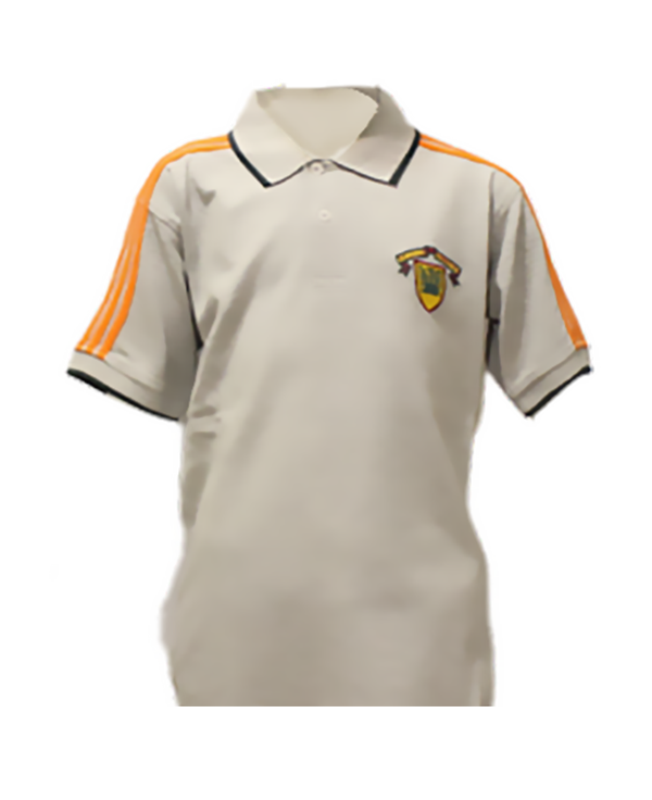 Grey Polo T Shirt (VI - O Level)