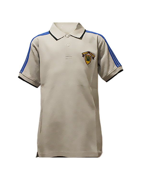 Grey Polo T Shirt (VI - O Level)
