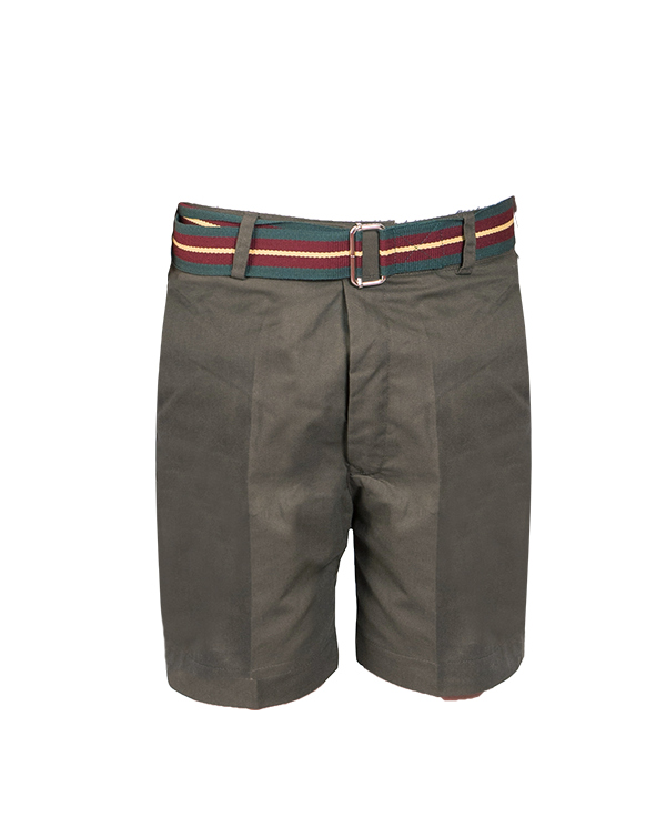 Green Shorts For Boys